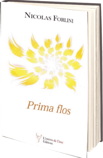 Prima flos